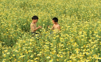Giúp người là tự cứu mình